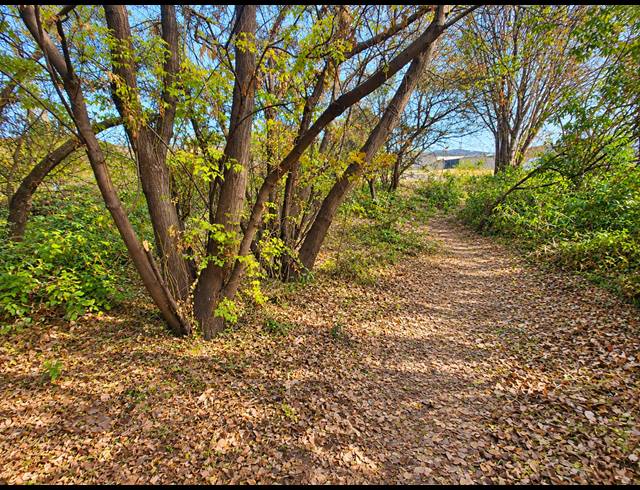 1,672M² VACANT LAND FOR SALE IN ROTHDENE